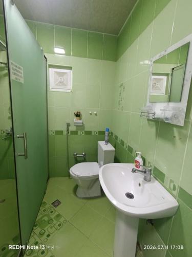 a green bathroom with a sink and a toilet at Sheki Dream House in Sheki