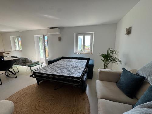3 pieces terrasse centre ville