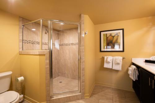 a bathroom with a shower and a toilet at Patriots Inn in Williamsburg