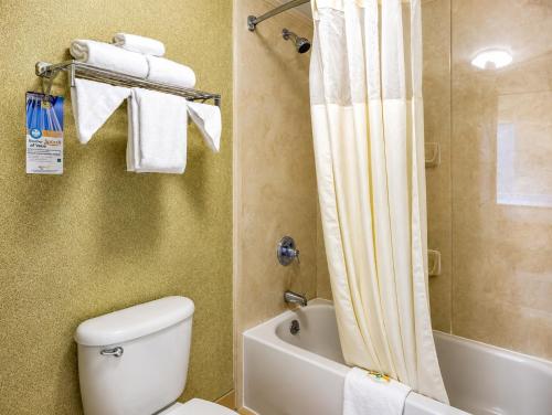 a bathroom with a white toilet and a shower at Quality Inn Union City US 51 in Union City