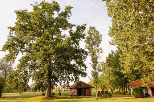 a small gazebo in a park with trees at Izletište Ružić in Mrčajevci