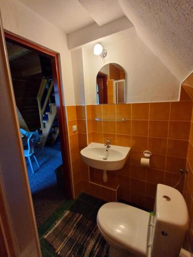 a bathroom with a toilet and a sink at Eleni Pokoje Gościnne in Bukowina Tatrzańska