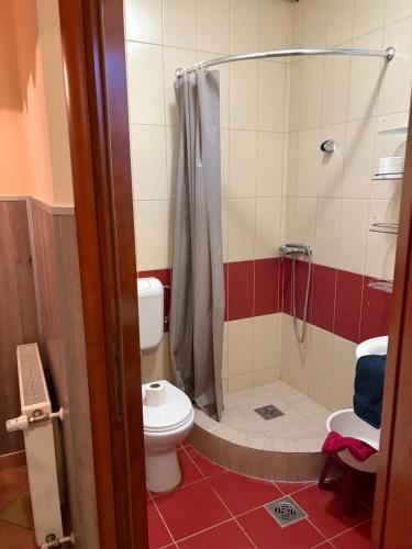 a bathroom with a toilet and a shower with a shower curtain at 4 Lurkó Apartman Új in Hajdúszoboszló