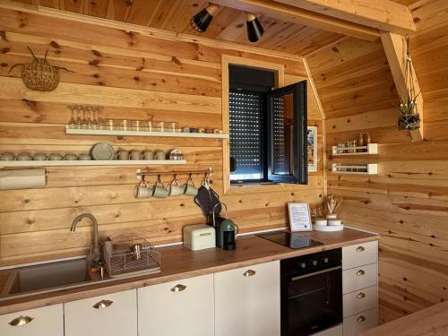 a kitchen with wooden walls and a counter with a sink at Hedwig cottages 1 in Njegovuđa