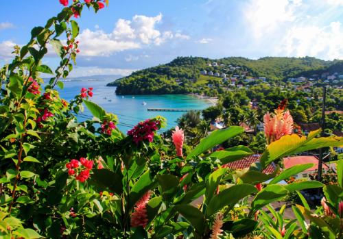 a view of a body of water with flowers at Le Panoramic in Les Trois-Îlets