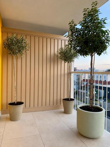 Stylish apartment, Balcony, Schlossberg view