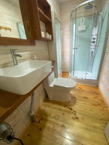 a bathroom with a sink and a toilet and a shower at forest house - Cabaña para 4 in Pichilemu