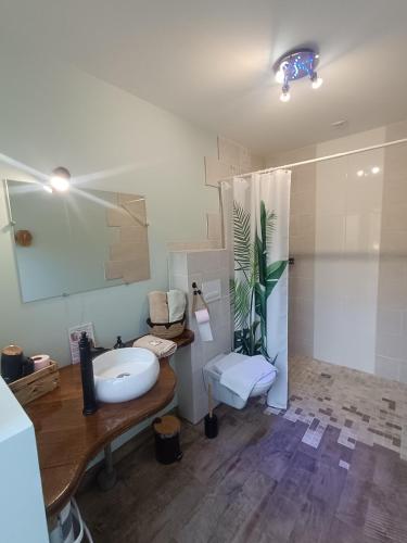 a bathroom with a sink and a toilet and a shower at Tente entre Vichy et le PAL " ô Rêves Atypiques" in Boucé