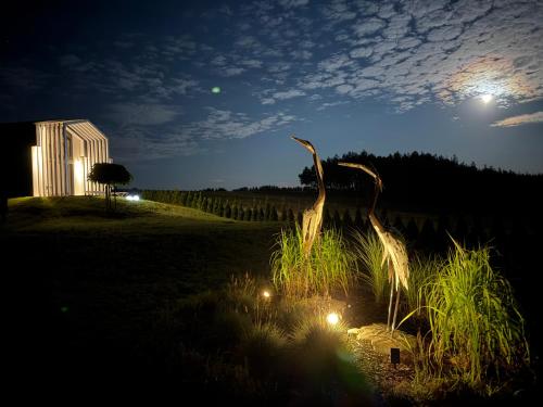 a field with a building and a tree at night at Casa Kashubia - Kaszuby Domek nad jeziorem I cisza natura i luksus in Brzeźno Szlacheckie
