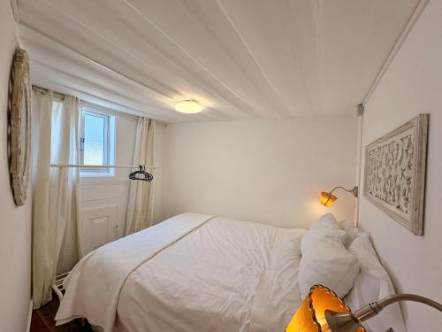 Litle and Cozy Apartment