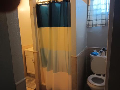 a bathroom with a toilet and a shower curtain at Nice Guest House in Artesia