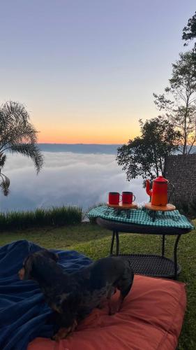 a dog laying on a blanket next to a table at Refúgio nas Nuvens Ninho das Águias in Nova Petrópolis