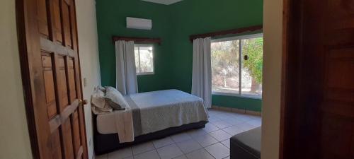 a green bedroom with a bed and a window at Cabana acogedora rodeada de naturaleza in San Bruno