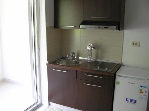 a small kitchen with a sink and a refrigerator at Apartments Despot Zaostrog RY in Zaostrog