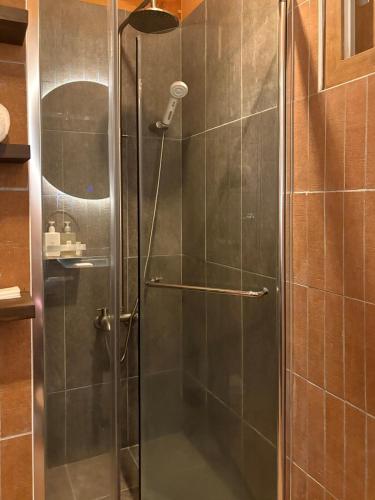 a shower with a glass door in a bathroom at 시골마을 한옥독채 '가니재' in Ssangjŏng-ni