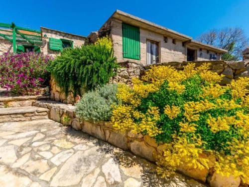Holiday home Kuzmino - Holiday Home