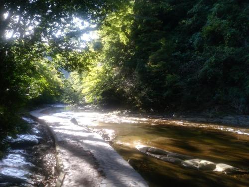 a dirt road next to a river with trees at Tenryuso in Ōtaki