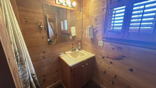 a bathroom with a sink and a mirror at Trail`s End-Hot tub-wifi,-pets ok-Pool Table-Fireplace-Screened Porch-Activities in Mashburn Mill