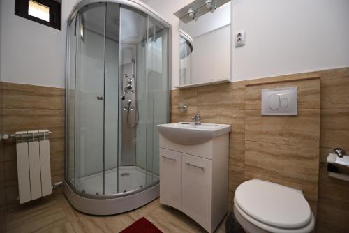 ハツェグにあるCasa Avyのバスルーム(シャワー、洗面台、トイレ付)