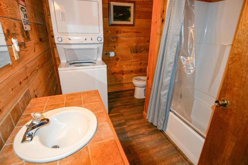 a bathroom with a sink and a toilet at 2BR/1BA Cabin | Hot Tub | Ocoee River Area | Wifi in Copperhill