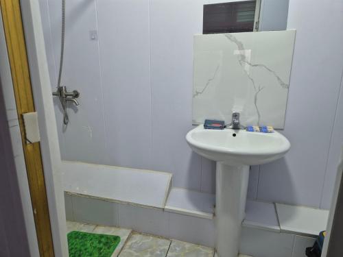 a white bathroom with a sink and a shower at Gana's Guest House and Tours in Ulaanbaatar