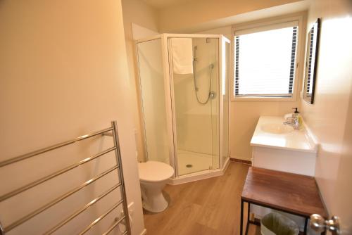 a bathroom with a shower and a toilet and a sink at Twin Stars in Lake Tekapo