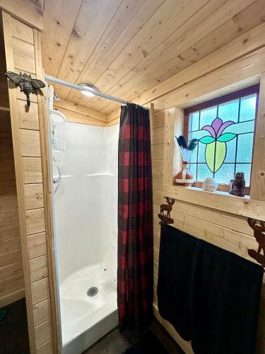a bathroom with a shower and a window and a tub at The Raven in Cosby