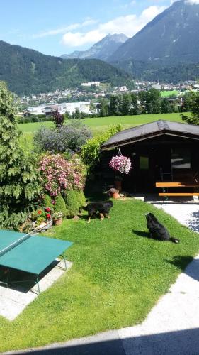Vue générale sur la montagne ou vue sur la montagne depuis l'appartement