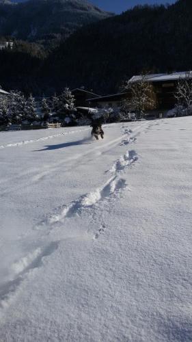 L'établissement Come In en hiver