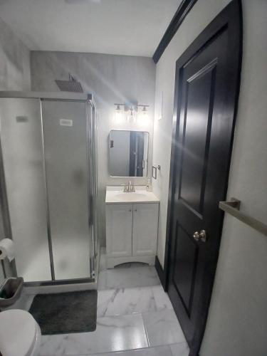 a bathroom with a shower and a sink and a mirror at Cozy Retreat 1 Bed and Bath in San Antonio