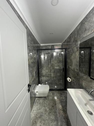 a bathroom with a shower and a toilet and a sink at AiRPORT TO THE HOTEL AND HOME in Pelitli