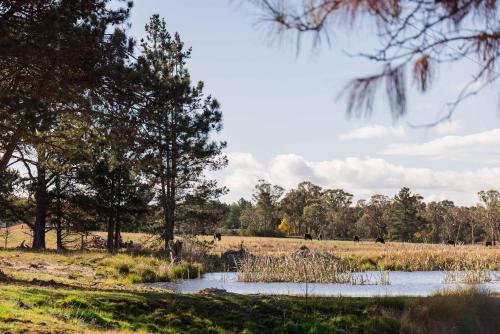 a pond in a field with trees in the background at The Hideaway at Novena Pines by Tiny Away in Thulimbah