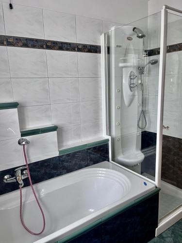 a bathroom with a shower and a bath tub at La villetta di Lilly in Predaia