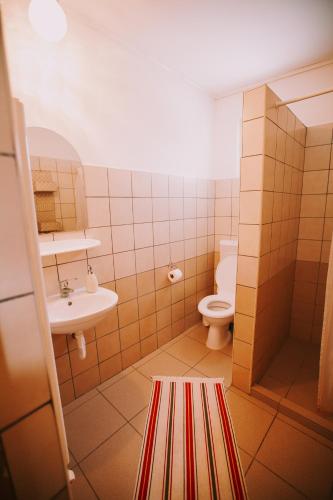 a small bathroom with a toilet and a sink at Bosnyák Panzió in Odorheiu Secuiesc