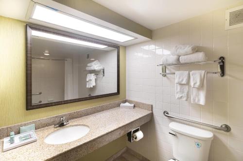 a bathroom with a sink and a mirror and a toilet at Quality Inn & Suites in Williamsburg
