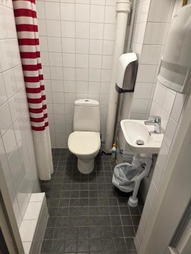 a bathroom with a toilet and a sink at STF Visby Hamn Vandrarhem in Visby