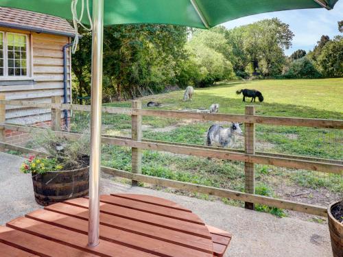 a fence with some animals grazing in a field at Glebe Stables in Steyning