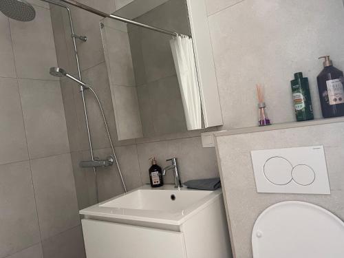 a bathroom with a sink and a toilet and a mirror at Modern private Rooms with attached Bathroom & Free Parking in Bruges