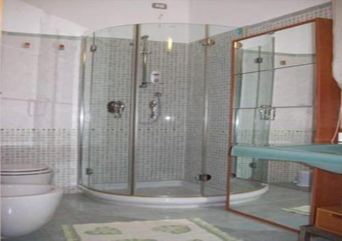 a bathroom with a shower and a toilet at B&B Villa Maya in Termoli