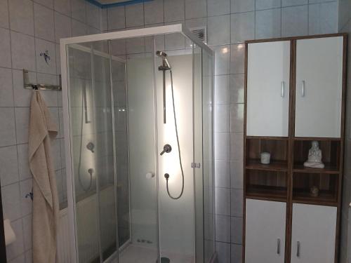 a shower with a glass door in a bathroom at Apartment Gms in Schottwien