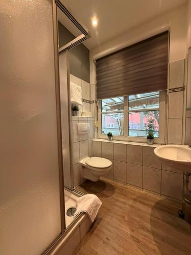 a bathroom with a toilet and a sink and a window at Dahlbrucher Hof in Hilchenbach