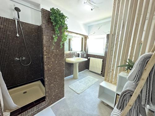 a bathroom with a shower and a sink at Maison le baron in Bélus