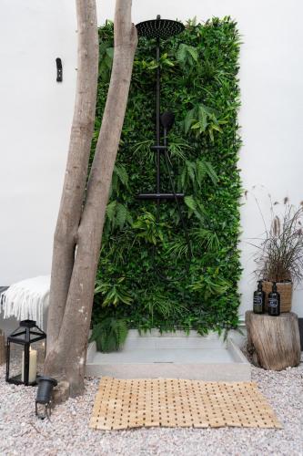 Athelio Boutique Entire Home, Private Courtyard, Outdoor Bar