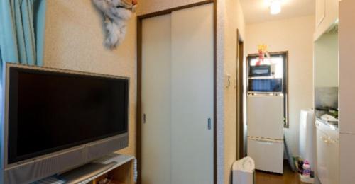 Cosmo Mercy N-1 / Vacation STAY 12990