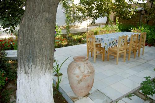 Zahrada ubytování Riad Nur & Tours