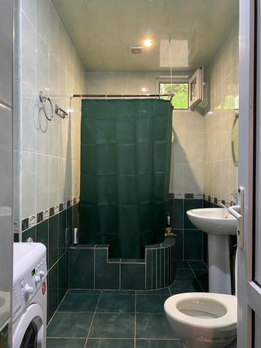 a bathroom with a shower and a toilet and a sink at Konstanta in Lentekhi
