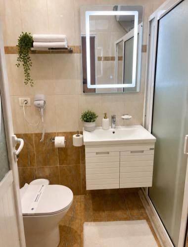 a bathroom with a sink and a toilet and a mirror at Villa Prince in Goranxi