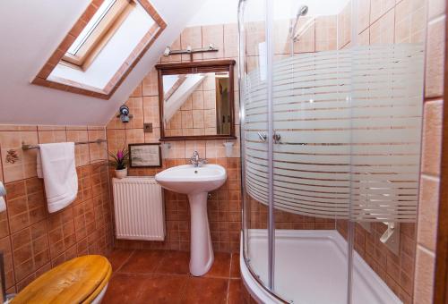 a bathroom with a glass shower and a sink at Pension Brasovu Vechi in Braşov