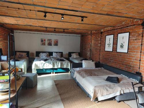 a room with four beds and a brick wall at Studio Lawendowe Ranczo in Zawichost