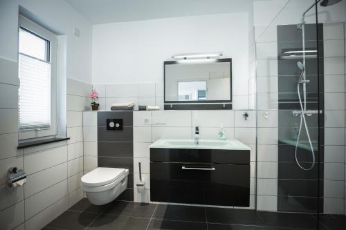 a bathroom with a sink and a toilet and a mirror at Ferienwohnung im Bockrieß in Thale